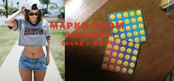 spice Бородино