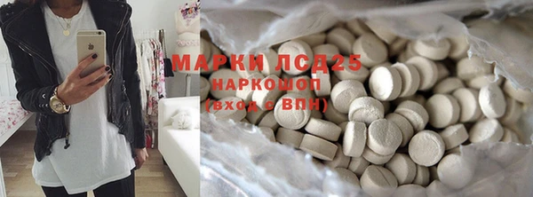 spice Бородино