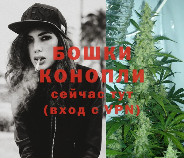 spice Бородино
