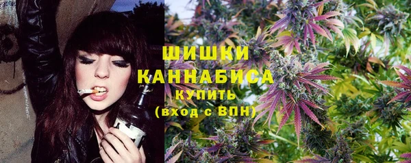 spice Бородино