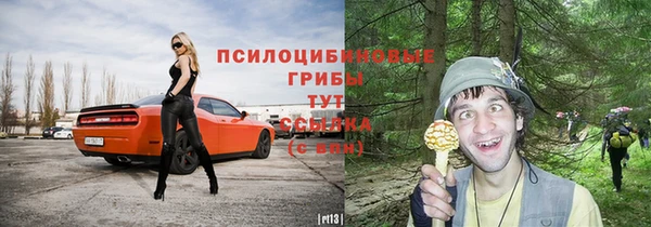 гашик Бугульма