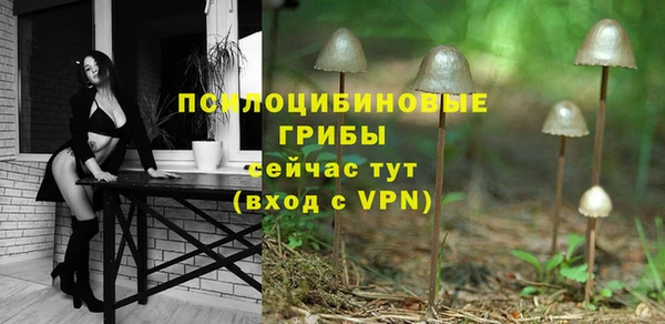 метадон Тайга