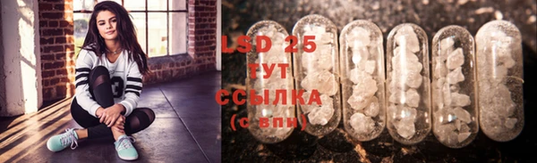 spice Бородино