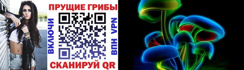 Псилоцибиновые грибы GOLDEN TEACHER  Верхняя Салда 